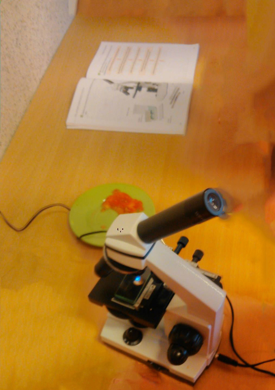 Tutaj powinien być opis