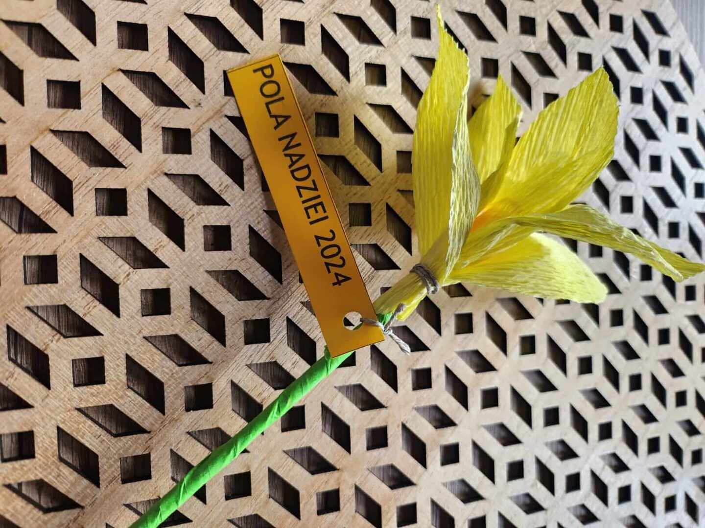 Tutaj powinien być opis